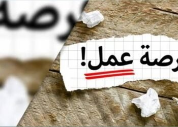 عايز تشتغل؟.. 5 ألاف فرصة عمل في 11 محافظة.. اعرف طريقة التقديم