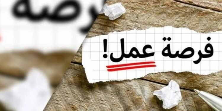 عايز تشتغل؟.. 5 ألاف فرصة عمل في 11 محافظة.. اعرف طريقة التقديم