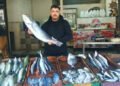 أسعار الأسماك والجمبري اليوم