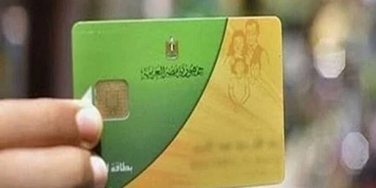 المستندات المطلوبة وخطوات التقديم.. كل ما تريد معرفته عن إضافة المواليد