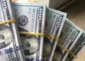 الاخضر بكام .. أسعار الدولار أمام الجنيه المصري في ختام تعاملات الخميس