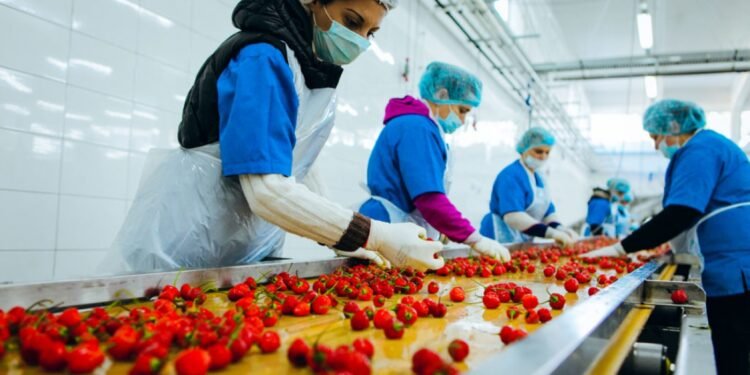 الصناعات الغذائية المصرية تواصل النمو خلال أول أربعة أشهر من 2026 وتحقق صادرات بقيمة 2.432 مليار دولار.
