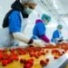 الصناعات الغذائية المصرية تواصل النمو خلال أول أربعة أشهر من 2026 وتحقق صادرات بقيمة 2.432 مليار دولار.