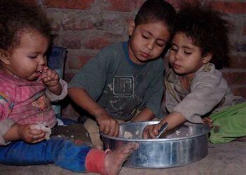 شبكة بنوك الطعام