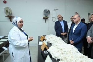 القطن المصري