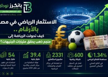 الاستثمار الرياضي في مصر
