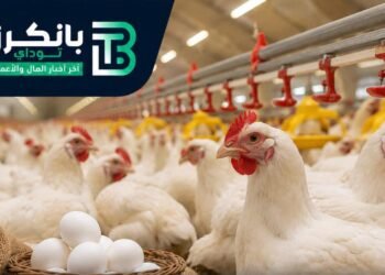 اسعار الفراخ اليوم
