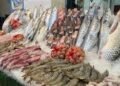 اسعار الاسماك اليوم