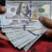 سعر الدولار اليوم