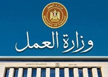 وزارة العمل