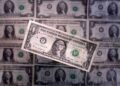 سعر الدولار اليوم