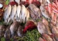 اسعار السمك اليوم