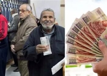 الاستعلام عن المعاش بالرقم القومى