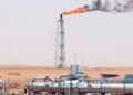 قطاع البترول المصري