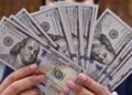 سعر الدولار اليوم