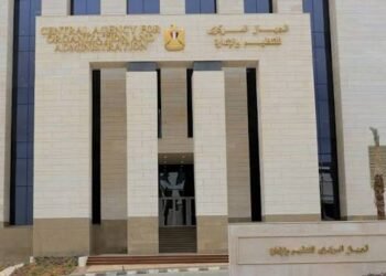 التنظيم والإدارة