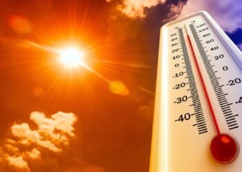 شبورة وأتربة وأجواء حارة.. تفاصيل حالة الطقس غدًا الجمعة في مصر