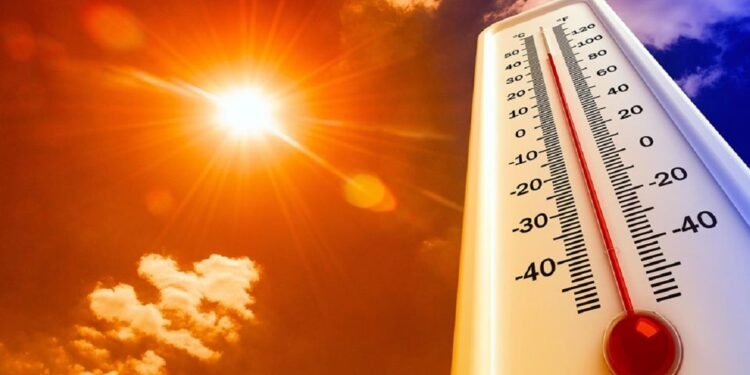 شبورة وأتربة وأجواء حارة.. تفاصيل حالة الطقس غدًا الجمعة في مصر