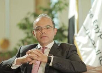 محمد فريد وزير الاستثمار