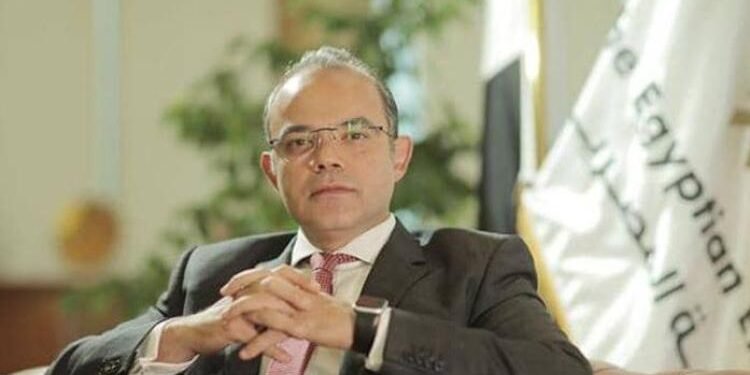 محمد فريد وزير الاستثمار