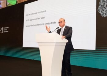 وزير الاستثمار