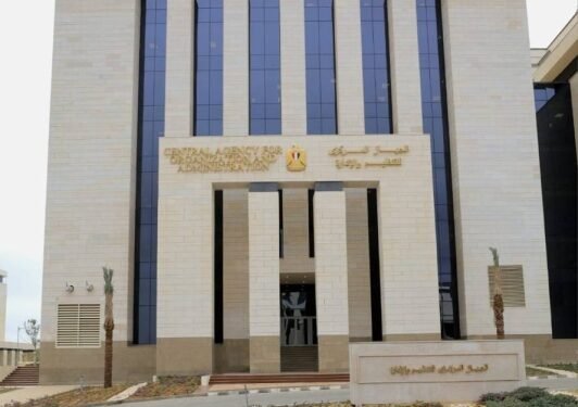 التنظيم والادارة