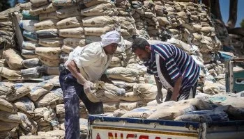 استقرار أسعار الأسمنت اليوم.. ومصر تتصدر قائمة كبار المصدرين