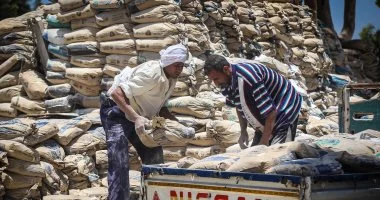 استقرار أسعار الأسمنت اليوم.. ومصر تتصدر قائمة كبار المصدرين
