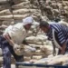 الأسمنت المصري: طفرة إنتاجية ومبيعات تتجاوز التوقعات في 2026