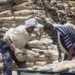سعر الأسمنت اليوم - مواد بناء