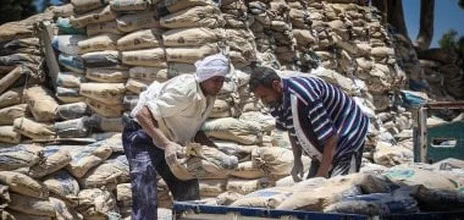 سعر الأسمنت اليوم - مواد بناء