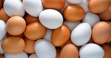 البيضة بـ3 جنيهات.. أسعار البيض اليوم الأحد بالأسواق