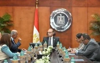 استثمارات خضراء، تمويل دولي لمصر