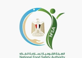 صادرات الأغذية المصرية للإمارات