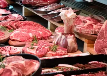 أسعار اللحوم الحمراء اليوم