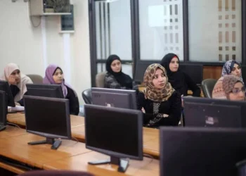 أرباح شركة تعليمية مصرية