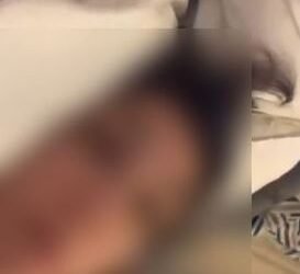 فيديو مضيفة الطيران