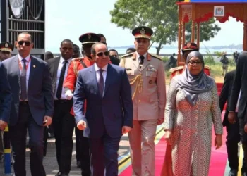 الرئيس عبد الفتاح السيسي