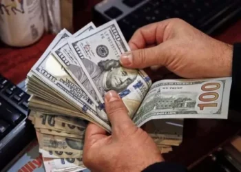 الدولار يتخطى حاجز 51 جنيهًا رسميًا في ختام التعاملات