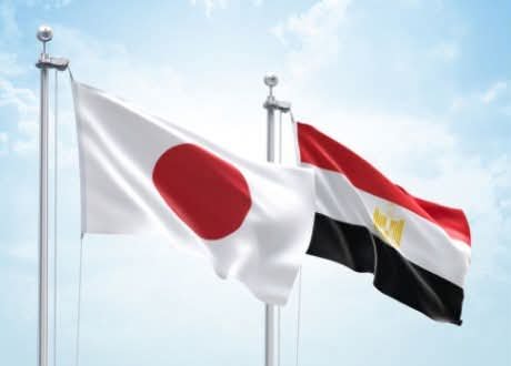 المركز الثالث عالميًا.. الموالح المصرية تواصل التمدد في السوق الياباني