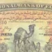 أسعار العملات اليوم الجنيه المصري