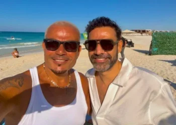 عمرو دياب