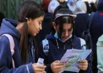 تنسيق الثانوية العامة 2026