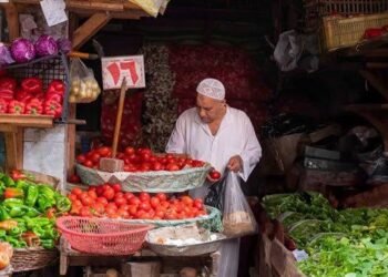 أسعار الخضروات اليوم الثلاثاء