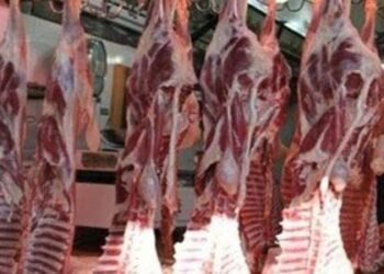 أسعار اللحوم اليوم الثلاثاء