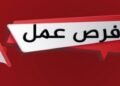 قدم الآن.. 3 آلاف وظيفة حكومية وخاصة متاحة بمختلف المحافظات خلال يوليو 2026