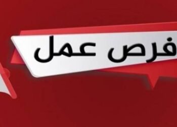 قدم الآن.. 3 آلاف وظيفة حكومية وخاصة متاحة بمختلف المحافظات خلال يوليو 2026
