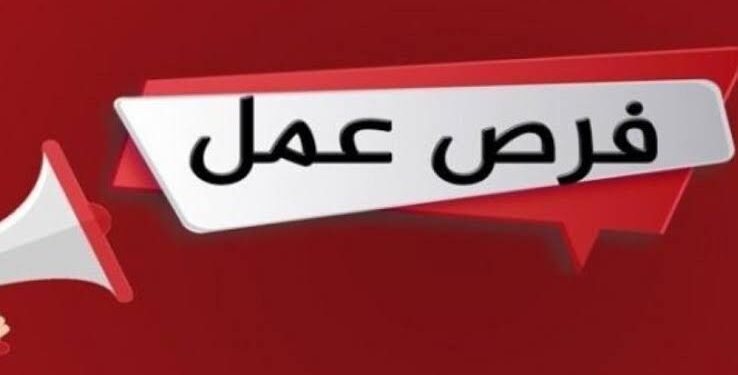 قدم الآن.. 3 آلاف وظيفة حكومية وخاصة متاحة بمختلف المحافظات خلال يوليو 2026