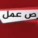 قدم الآن.. 3 آلاف وظيفة حكومية وخاصة متاحة بمختلف المحافظات خلال يوليو 2026