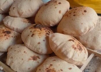 زيادة تكلفة تصنيع الخبز المدعم